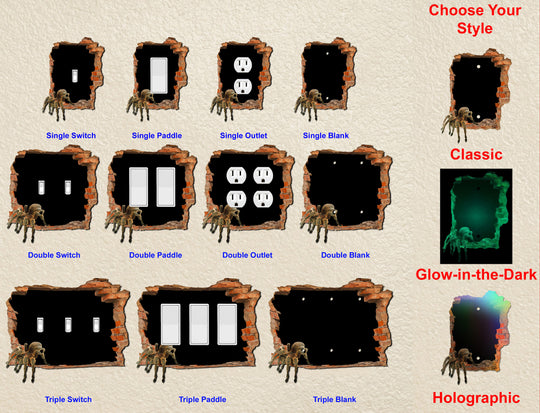 Spider Hole in the Wall