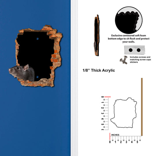 Scary Rat Hole In Wall