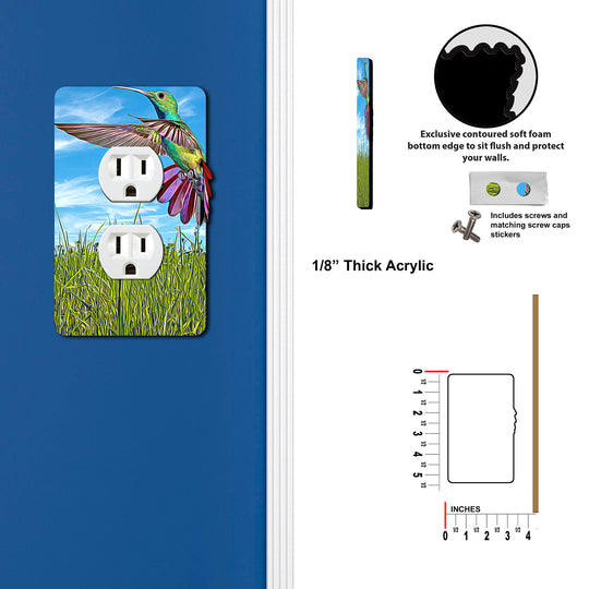 Painted Look Hummingbird