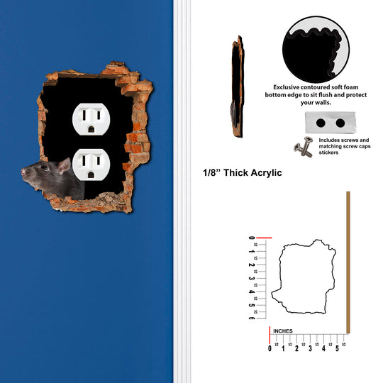 Scary Rat Hole In Wall