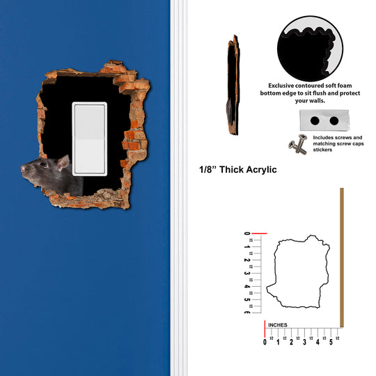 Scary Rat Hole In Wall