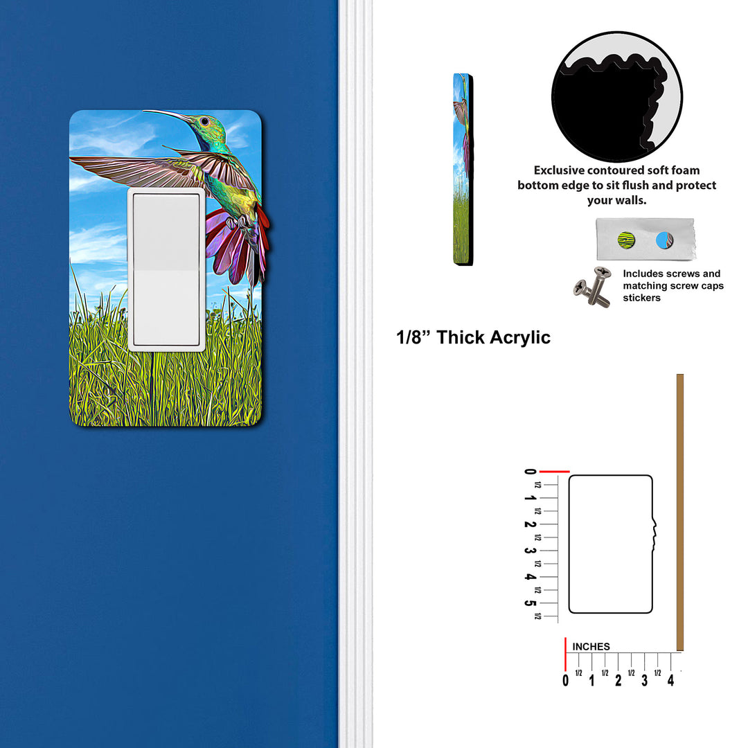 Painted Look Hummingbird