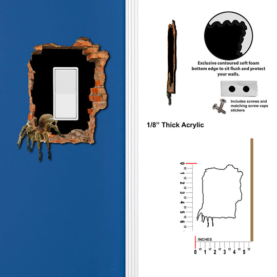 Spider Hole in the Wall