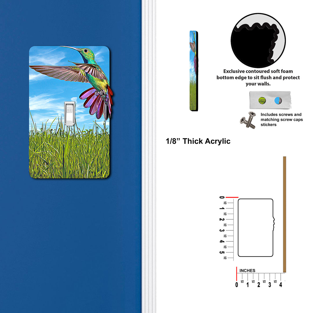 Painted Look Hummingbird