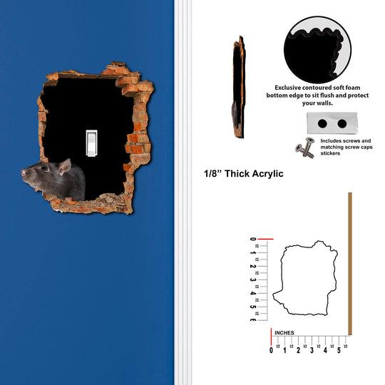 Scary Rat Hole In Wall