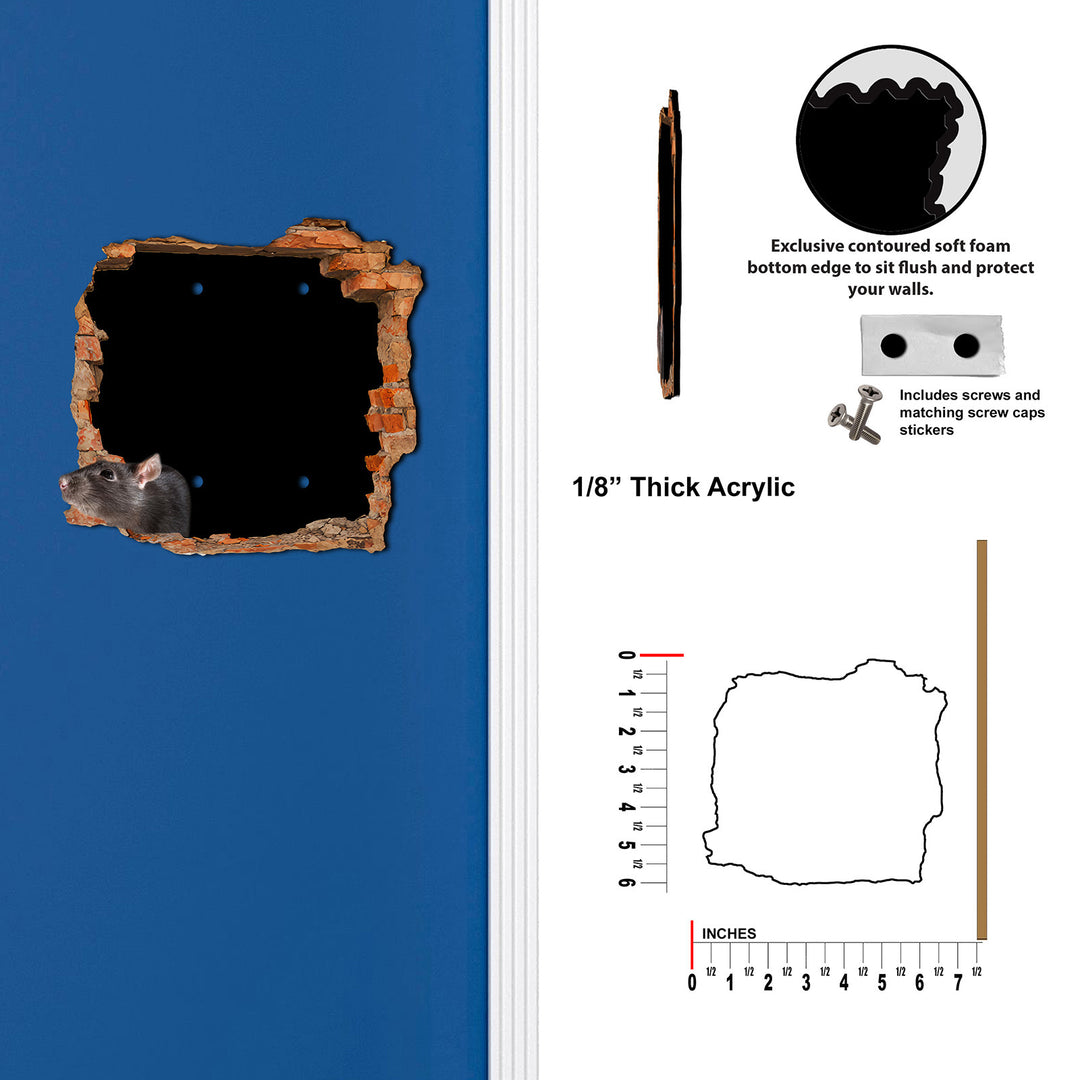 Scary Rat Hole In Wall