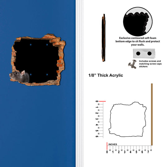 Scary Rat Hole In Wall