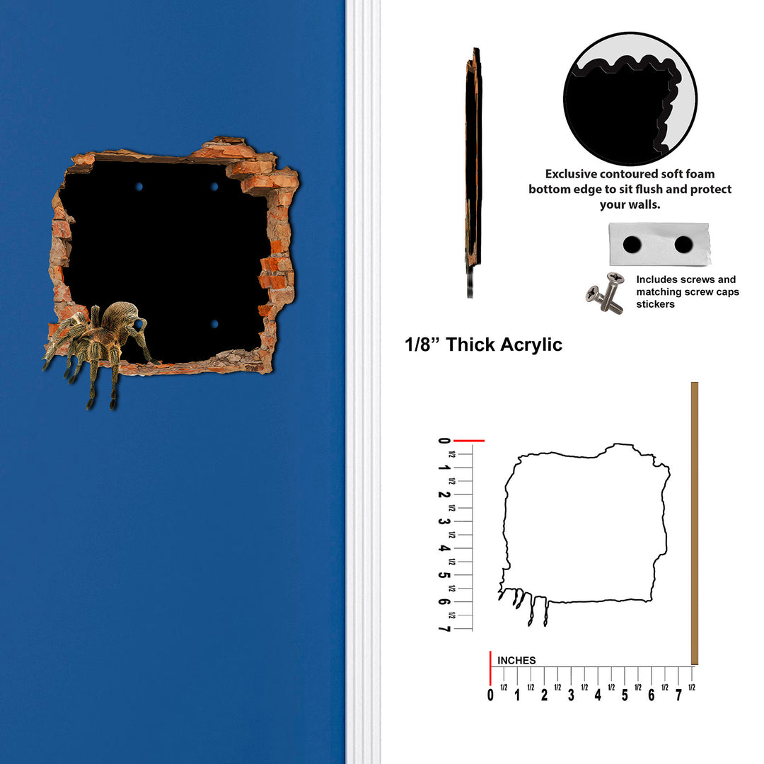 Spider Hole in the Wall