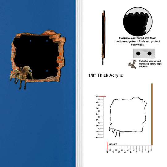 Spider Hole in the Wall