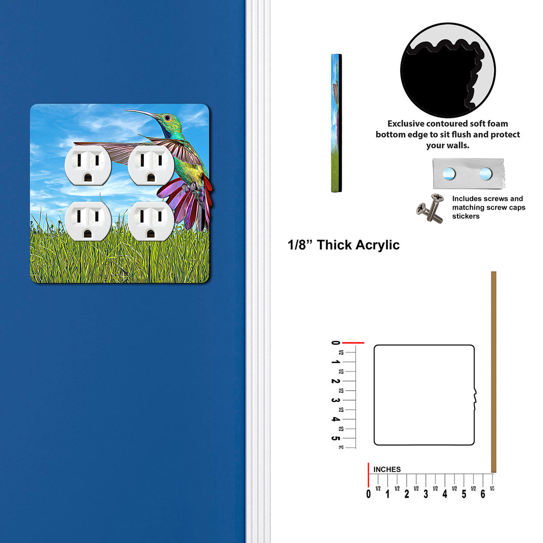 Painted Look Hummingbird