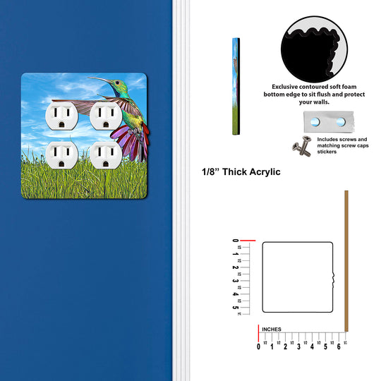 Painted Look Hummingbird