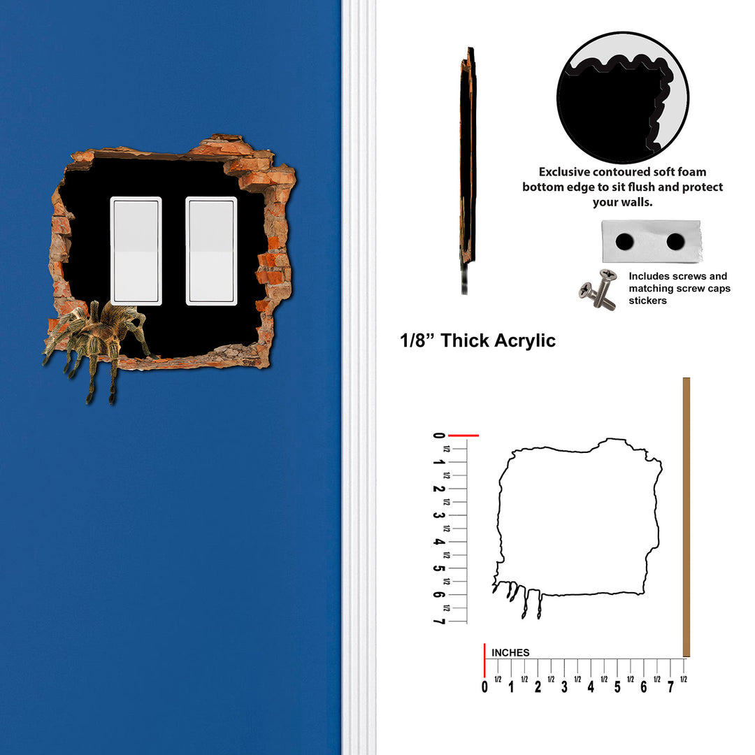 Spider Hole in the Wall