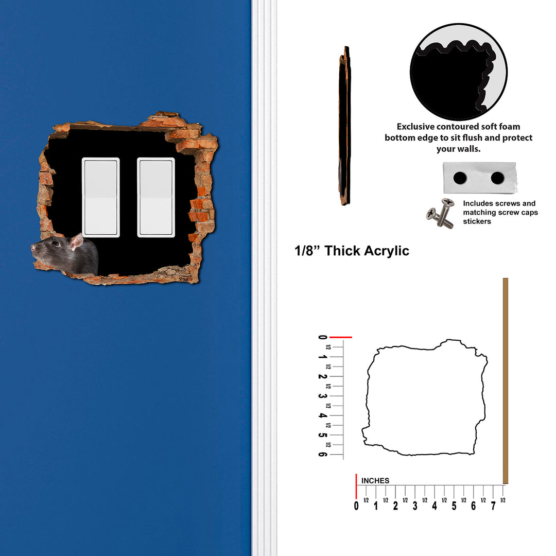 Scary Rat Hole In Wall