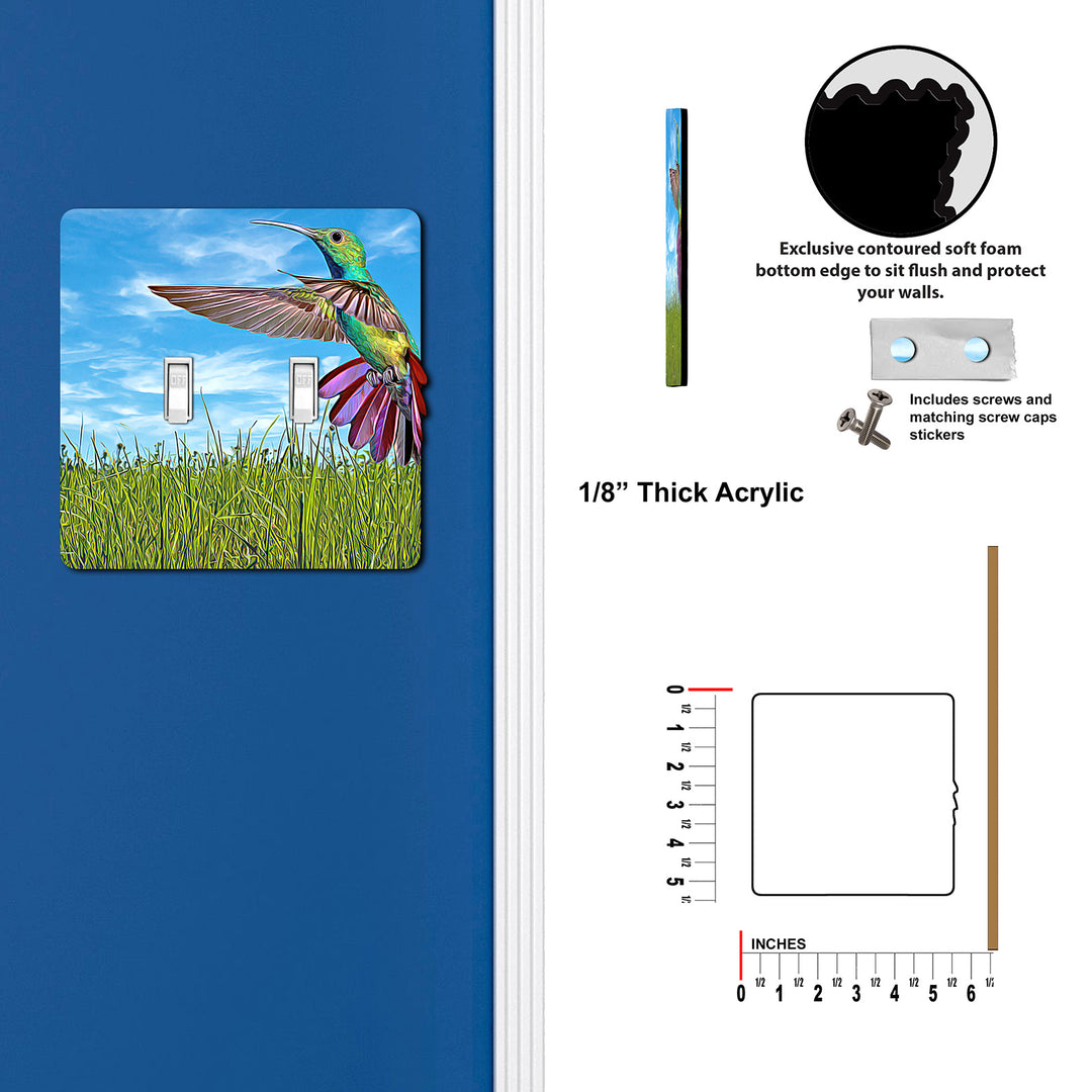 Painted Look Hummingbird