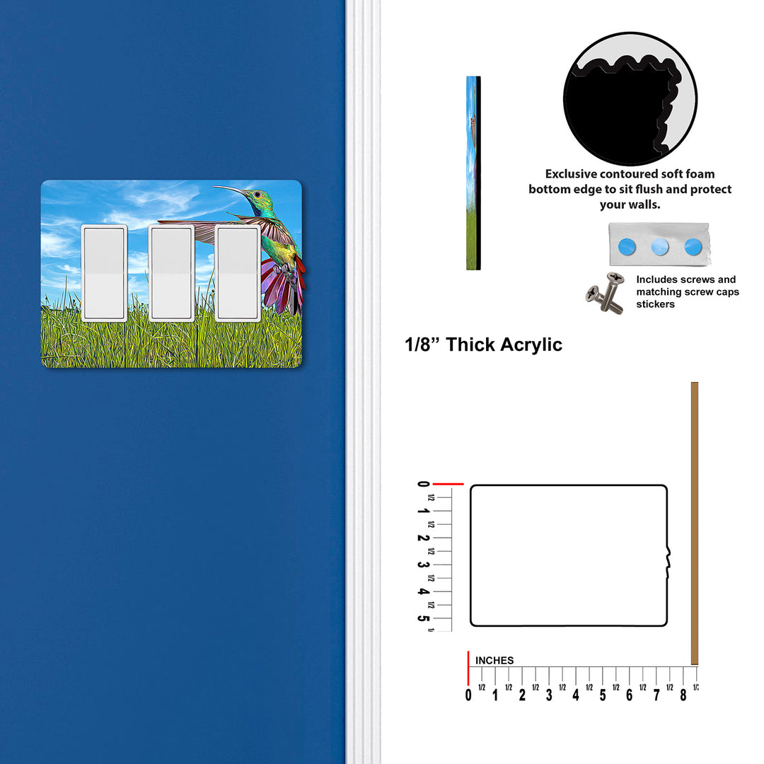 Painted Look Hummingbird