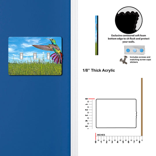 Painted Look Hummingbird