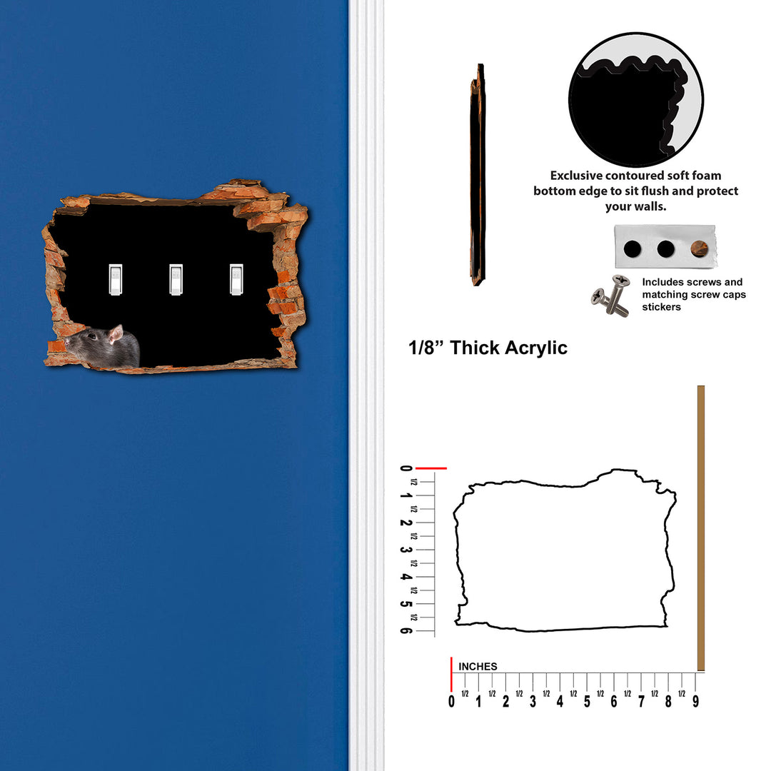 Scary Rat Hole In Wall