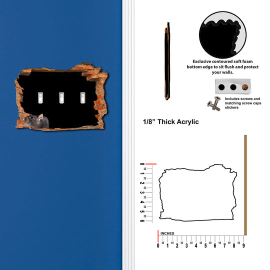 Scary Rat Hole In Wall