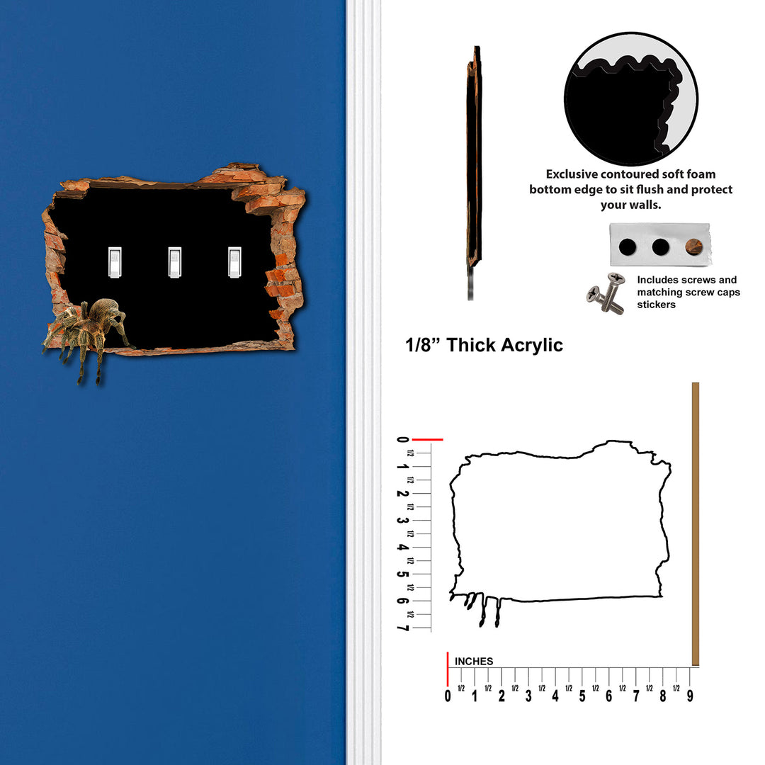 Spider Hole in the Wall