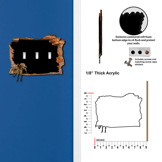 Spider Hole in the Wall